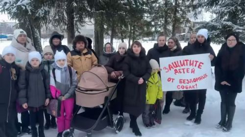 Жители Васильево в РТ выступили против системы возврата чипированных собак на улицы