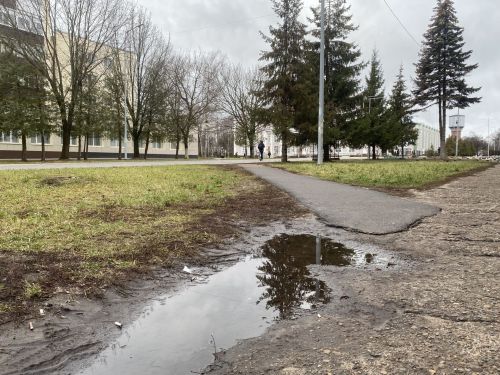Уже начало декабря, а снега всё нет и пока не предвидится