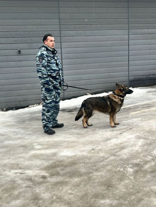 Студенты мехколледжа побывали на экскурсии в отделе полиции
