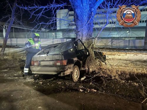 В Зеленодольске водитель «ВАЗ» погиб, врезавшись в дерево
