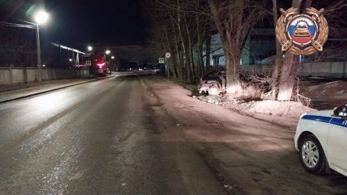 В Зеленодольске водитель «ВАЗ» погиб, врезавшись в дерево