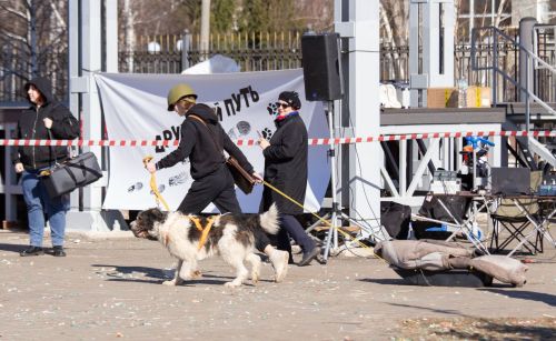 В Зеленодольске прошла спортивно-патриотическая эстафета «Фронтовые собаки»