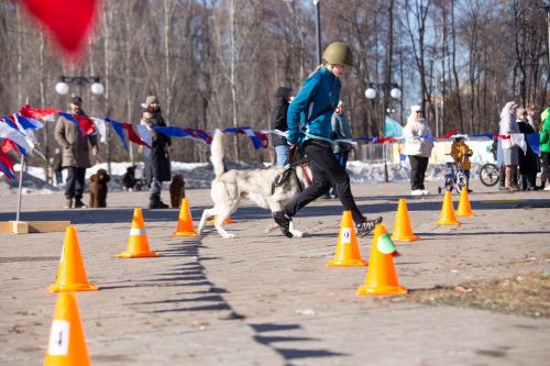 В Зеленодольске прошла спортивно-патриотическая эстафета «Фронтовые собаки»