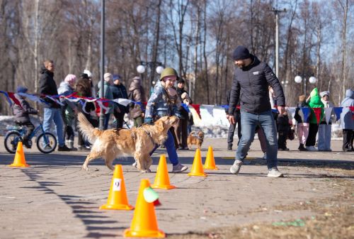 В Зеленодольске прошла спортивно-патриотическая эстафета «Фронтовые собаки»