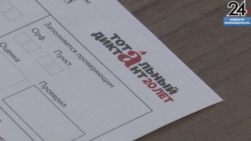 В Зеленодольском Центре культурного развития прошла акция «Тотальный диктант»