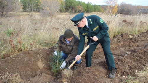 В Татарстане стартовала весенняя посадка леса