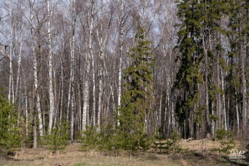 Где жарить шашлыки в майские праздники в условиях особого противопожарного режима