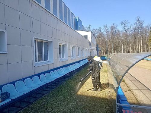 Территорию спорткомплекса «Маяк» обработали от мышей и клещей