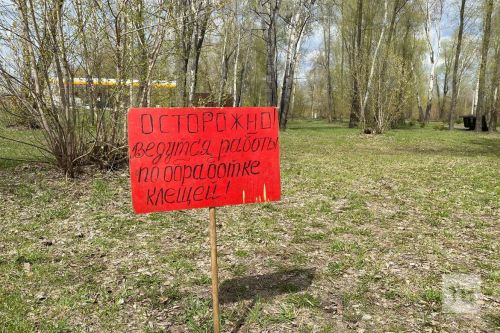 Как избежать укуса клеща