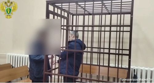 Зеленодолец лишился свободы и машины