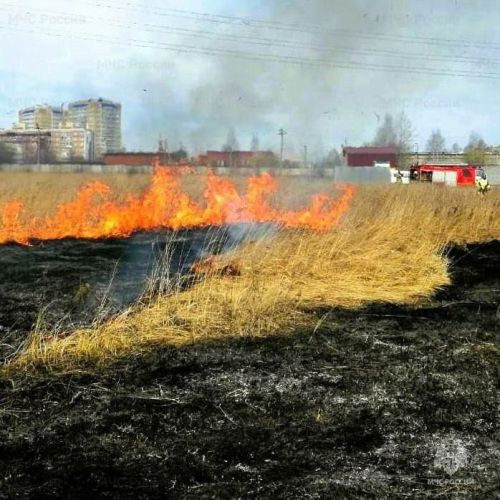 В Зеленодольском районе за неделю трижды поступали сообщения о возгорании камыша