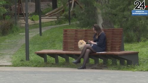 Какие городские парки популярны в Зеленодольске