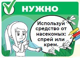 Роспотребнадзор — детям: Чем опасны насекомые?
