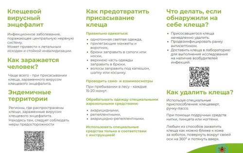 С 2 мая по 11 мая Роспотребнадзор проводит горячую линию на тему профилактики клещевого энцефалита и других инфекций, передающихся клещами
