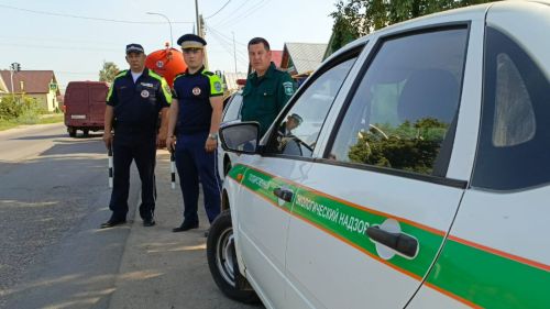 В Татарстане в ходе операции «Чистый воздух» проверили почти 450 автомобилей