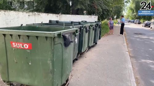 Зеленодольцы жалуются на нарушения в вывозе мусора