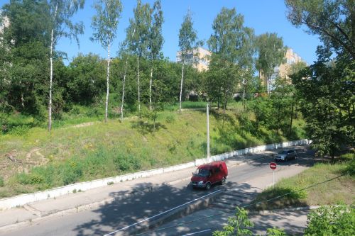 Почему вырубили тополя на склоне вдоль Динамовского спуска?