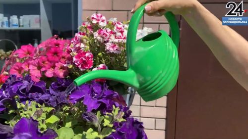 Жительница Зеленодольска создала яркую цветочную композицию
