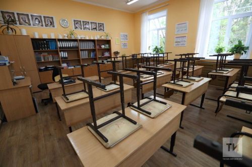 О тестировании детей на знание языка