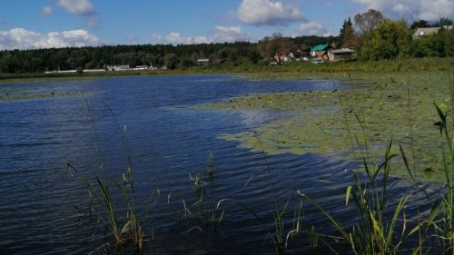 Экологи проверили озеро Бело-Безводное в Зеленодольском районе