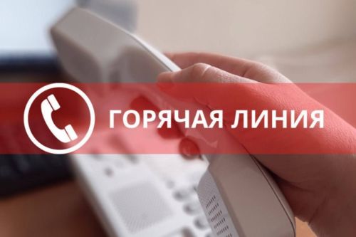 Горячая линия по вопросам образования