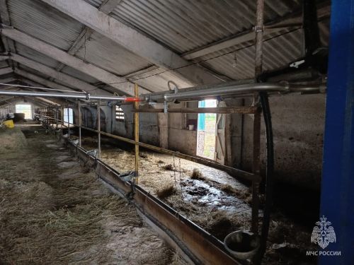 В  деревне Прибой Зеленодольского района произошел пожар в здании частной фермы
