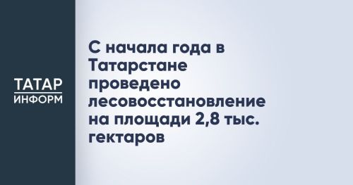 В Татарстане с начала года восстановлено 2,8 тыс. гектаров леса