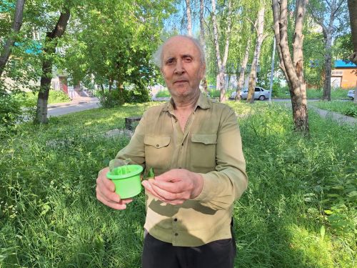 «Дикие» тропинки на газонах, или Как сохранить наши парки и скверы
