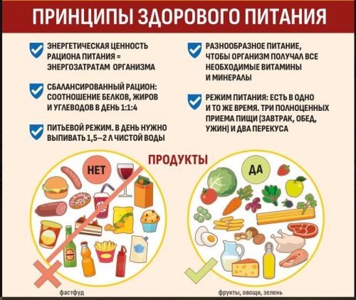 16 октября — Всемирный день продовольствия