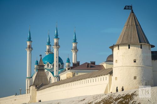 В Музее естественной истории Татарстана обновили экспозицию