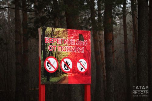 Леса Татарстана перейдут в режим повышенной пожарной готовности с 15 апреля