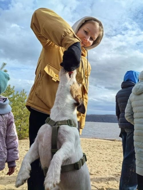 Волга, лодки и душевные песни