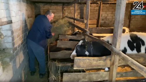 Жители Зеленодольского района могут получить 200 тыс. рублей