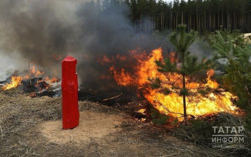 В Татарстане продлили штормовое предупреждение из-за высокой пожарной опасности лесов