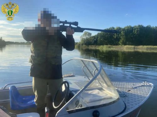 Житель Зеленодольска предстанет перед судом в Марий Эл по обвинению в незаконной охоте и причинении смерти