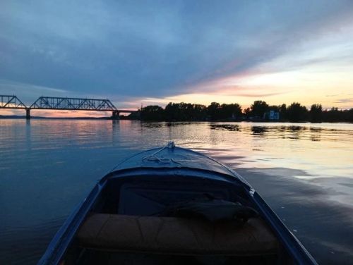 Рядом с Нижними Вязовыми в воде нашли тело мужчины