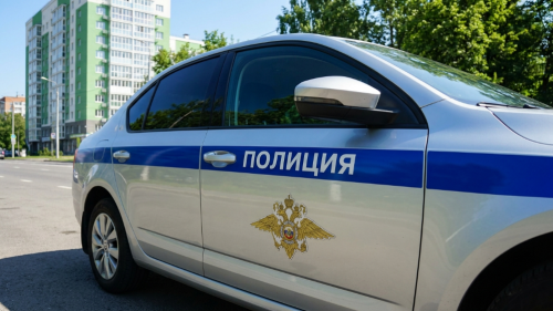 Криминальная неделя в Зеленодольске: обман пенсионерки на полмиллиона, кражи по QR-коду и жестокие драки в Осиново