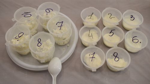Госалкогольинспекция РТ подвела итоги масштабной дегустации творога и сметаны