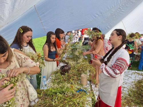 Магия трав и солнца
