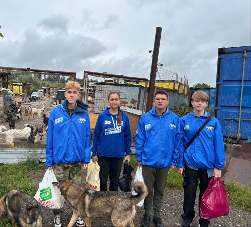 Зеленодольские молодогвардейцы привезли корм в приют «Кот и Пёс»
