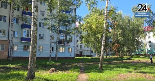 В Зеленодольске спиливают старые аварийные деревья
