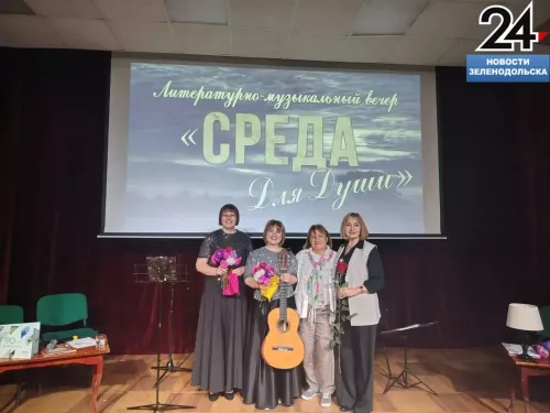 В Набережных Челнах прошел концерт зеленодольских исполнителей