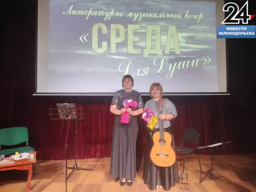 В Набережных Челнах прошел концерт зеленодольских исполнителей