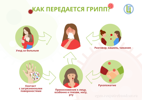 Роспотребнадзор проведет «горячую линию» по профилактике гриппа и ОРВИ