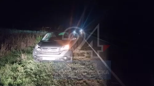 В Зеленодольском районе насмерть сбили человека