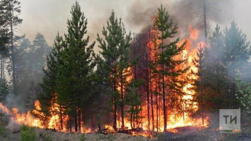 Пожароопасный сезон в Татарстане продлится до октября