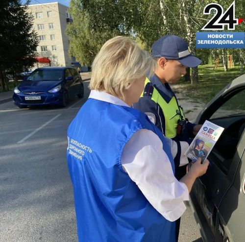 ГИБДД и ГБУ «БДД» Зеленодольска провели совместный рейд «Ребенок — главный пассажир»