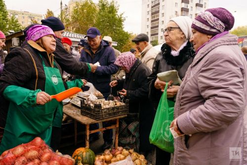 Осенние сельскохозяйственные ярмарки в Татарстане начнутся с 12 сентября