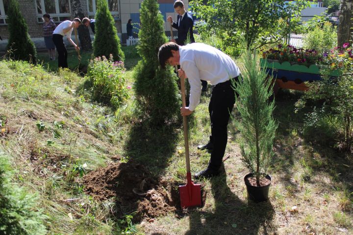 В рамках «Города миллиона цветов» одиннадцатиклассники на Аллее выпускников посадили деревья