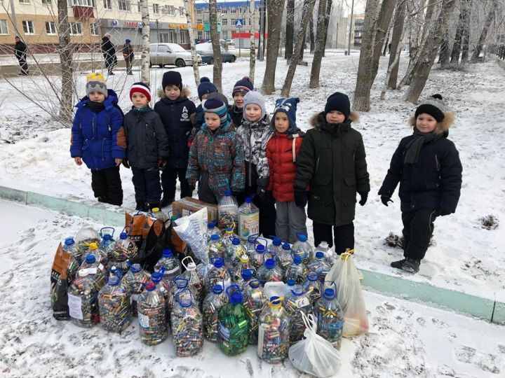 Завершилась акция по сбору батареек в учебных заведениях Зеленодольска